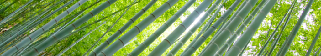 シェキールのニュースがあります